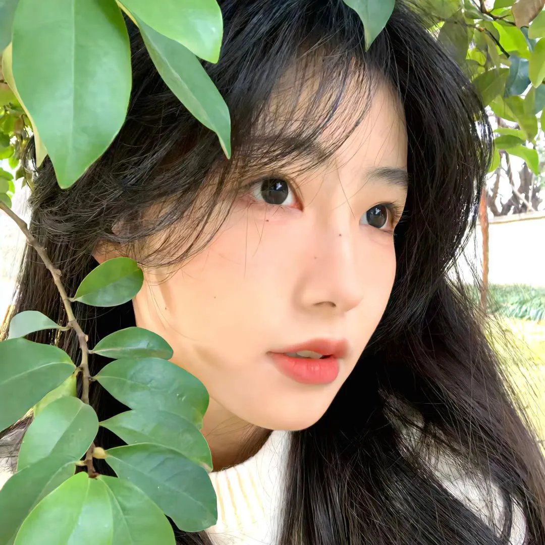 上海的黑玫瑰